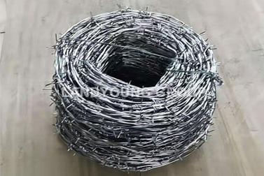 Barbed Wire