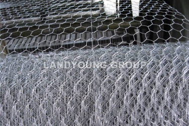 Hexagonal Wire Mesh