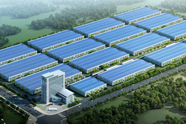 Landyoung Group Co., Ltd.