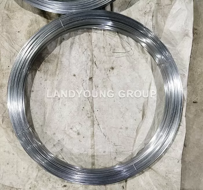 Hot Dipped Galvanized Oval Wire