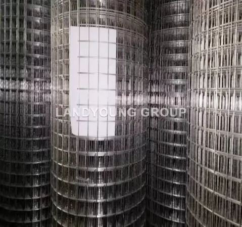 Welded Wire Mesh Roll