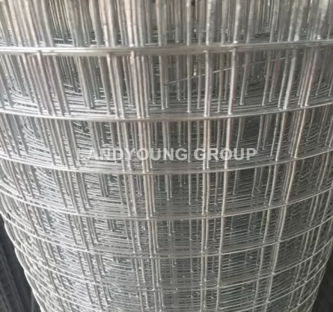 Welded Wire Mesh Roll